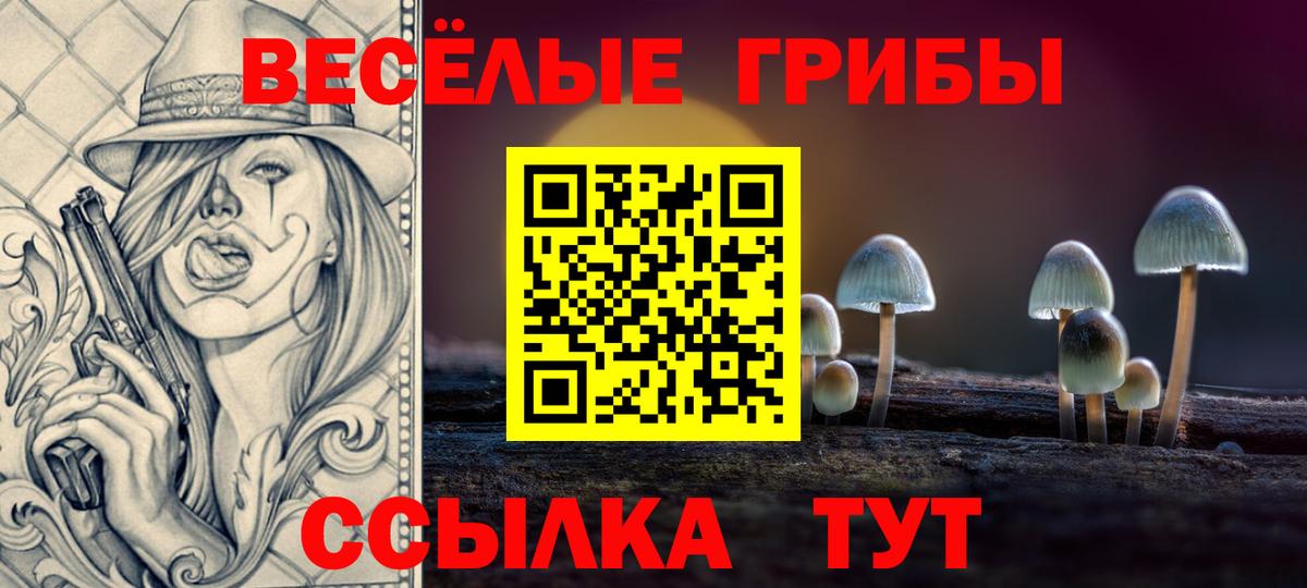 Саянск  Псилоцибиновые грибы MAGIC MUSHROOMS  Вход с VPN 